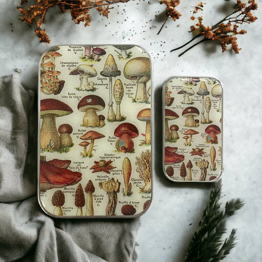 Large Mushroom Notion Storage Tin
