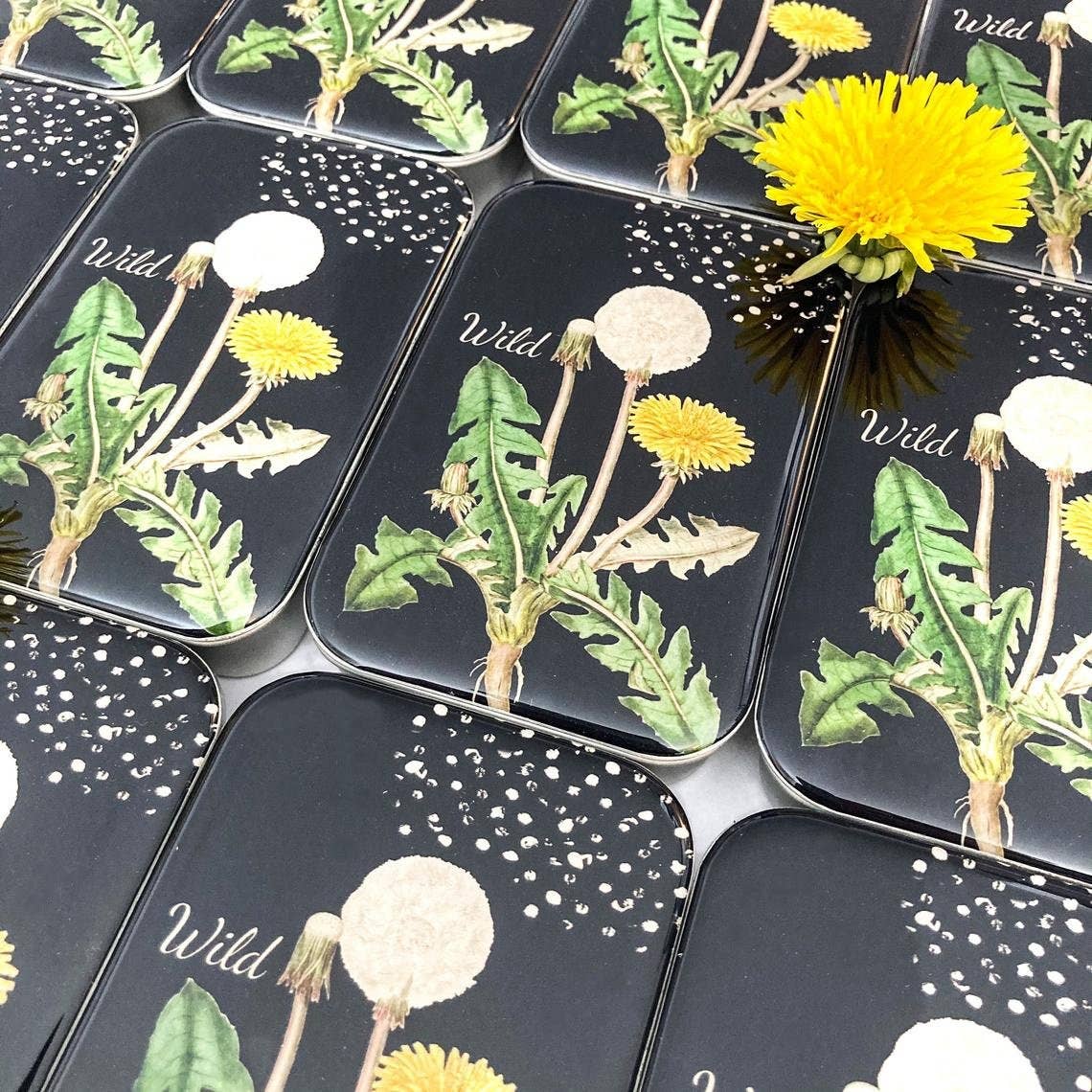 Large Dandelion Notions Tin