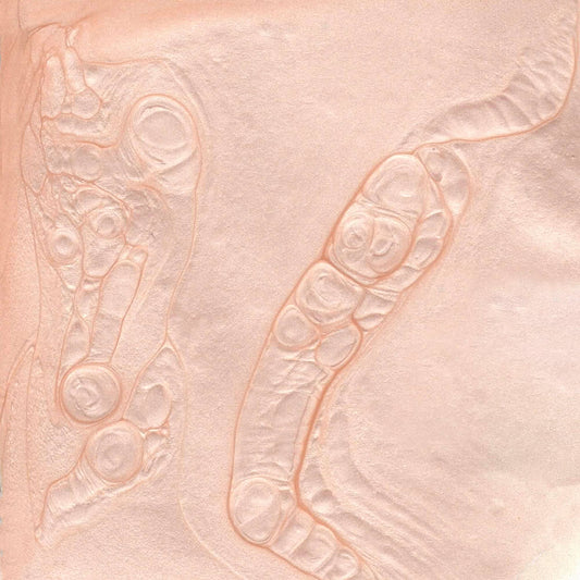 Satin | Vegan & 21-free Nail Polish