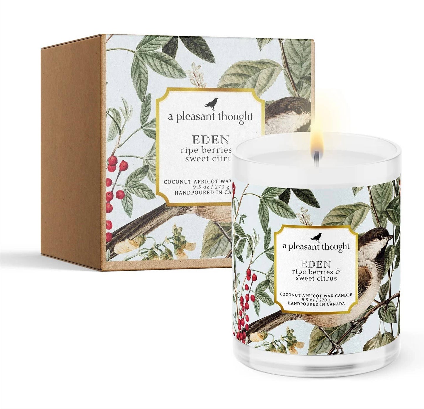 Eden | Ripe Berries & Sweet Citrus Candle