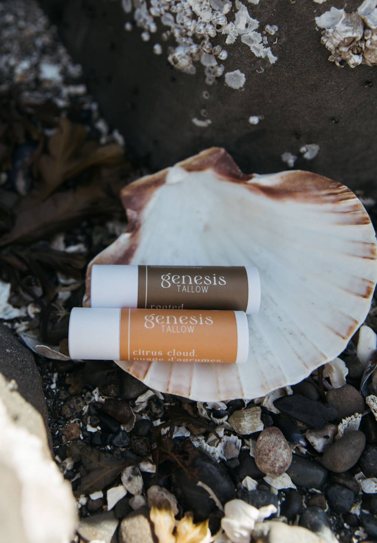 Citrus Cloud Tallow Lip Balm | Orange Vanilla