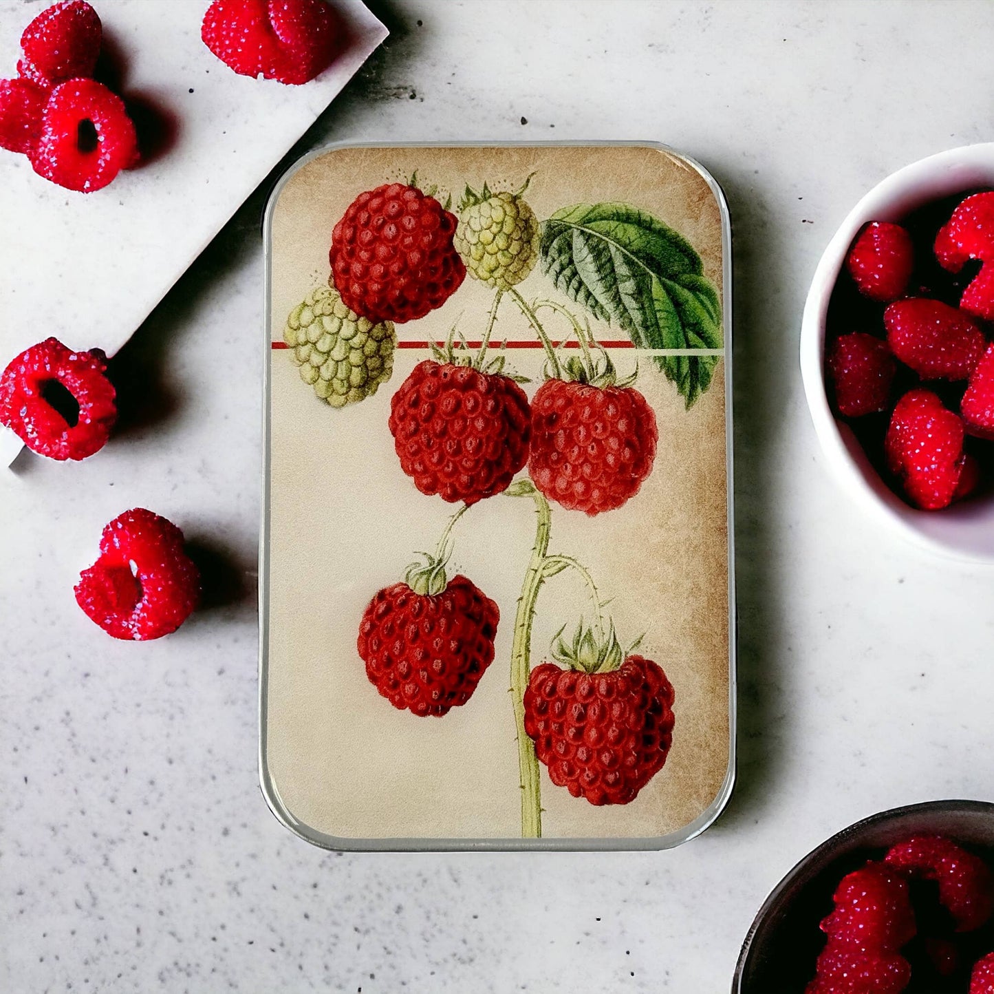 Large Raspberry Notions Tin