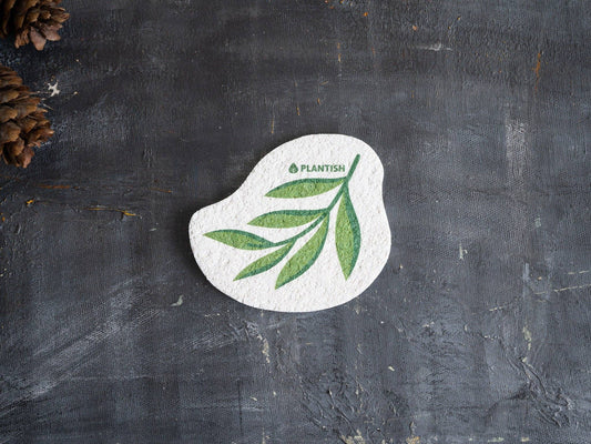 Eucalyptus | Pop up Sponge