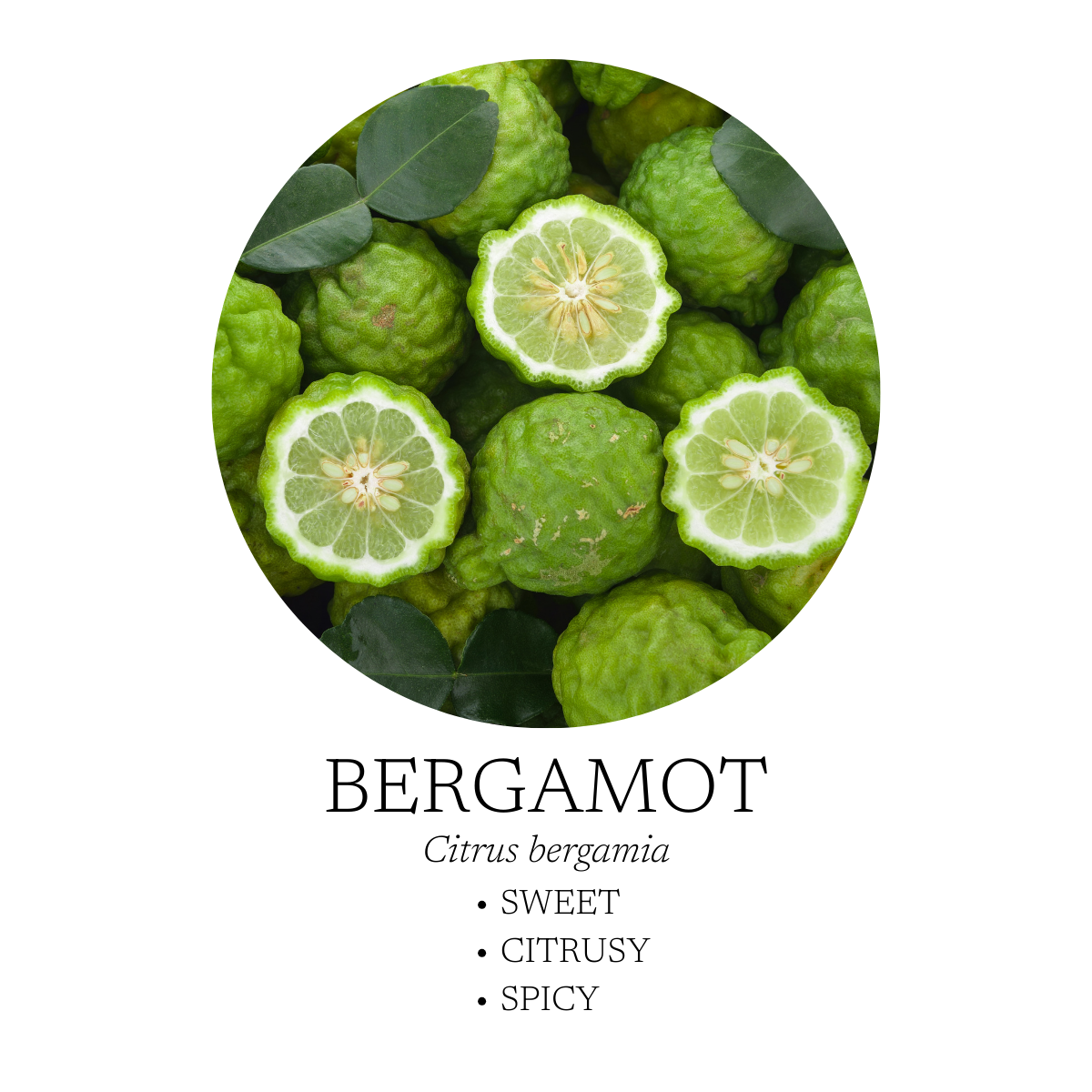 Spa Essential Oil Blend