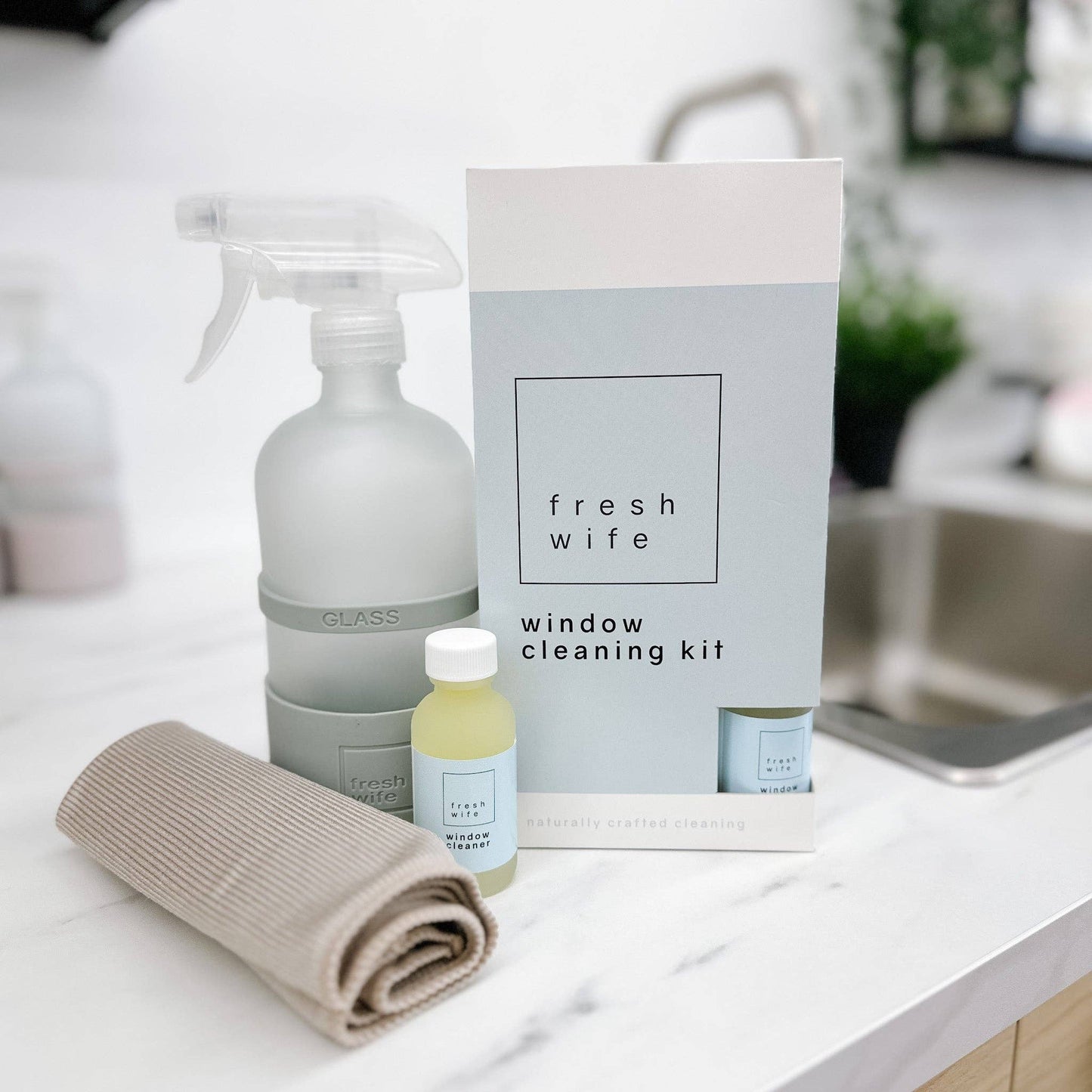 Window Cleaner Kit