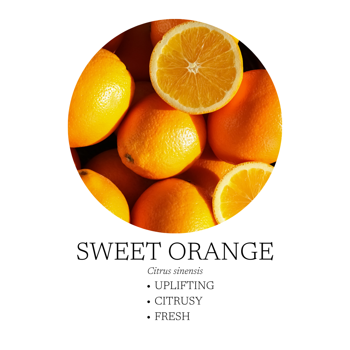 Spa Essential Oil Blend