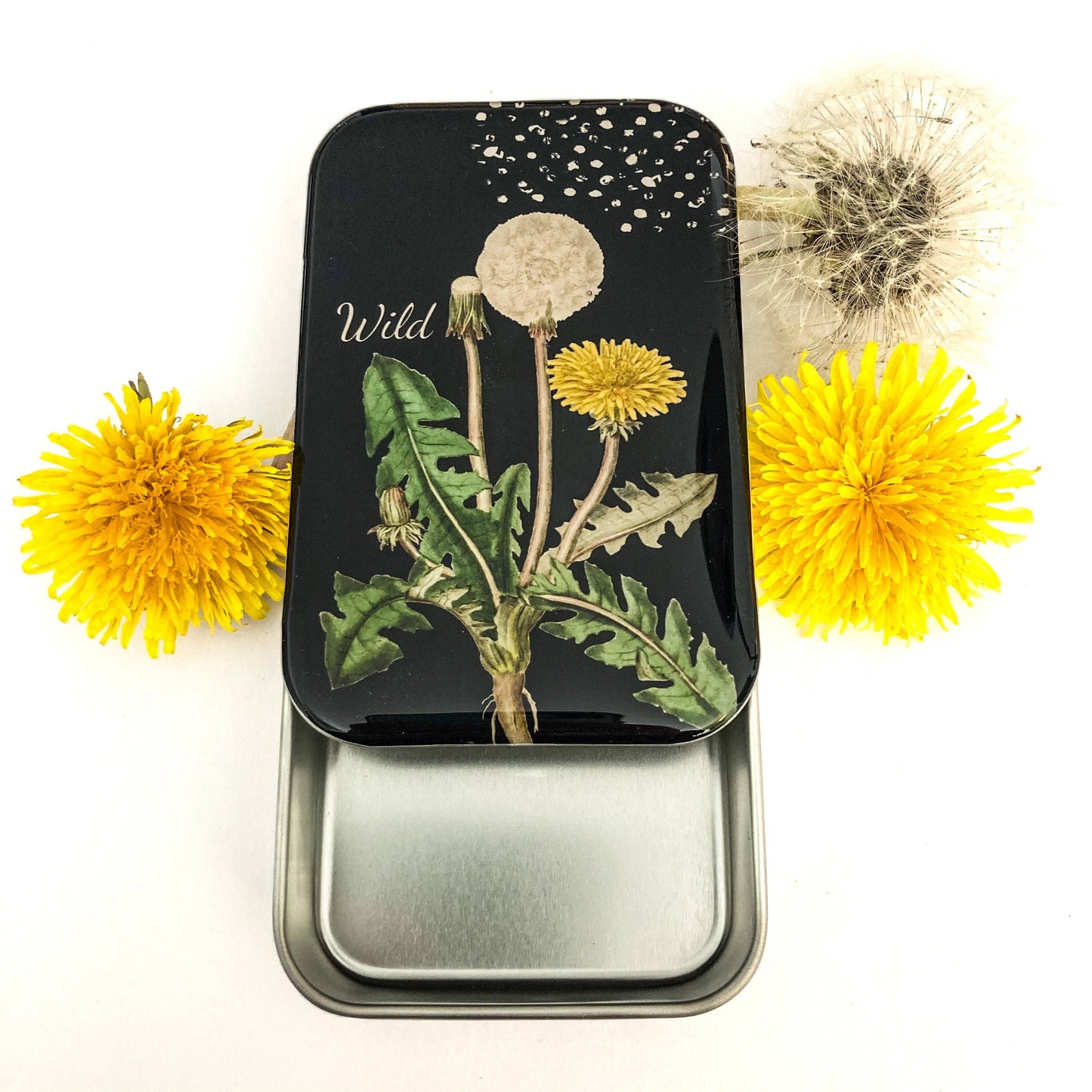 Large Dandelion Notions Tin