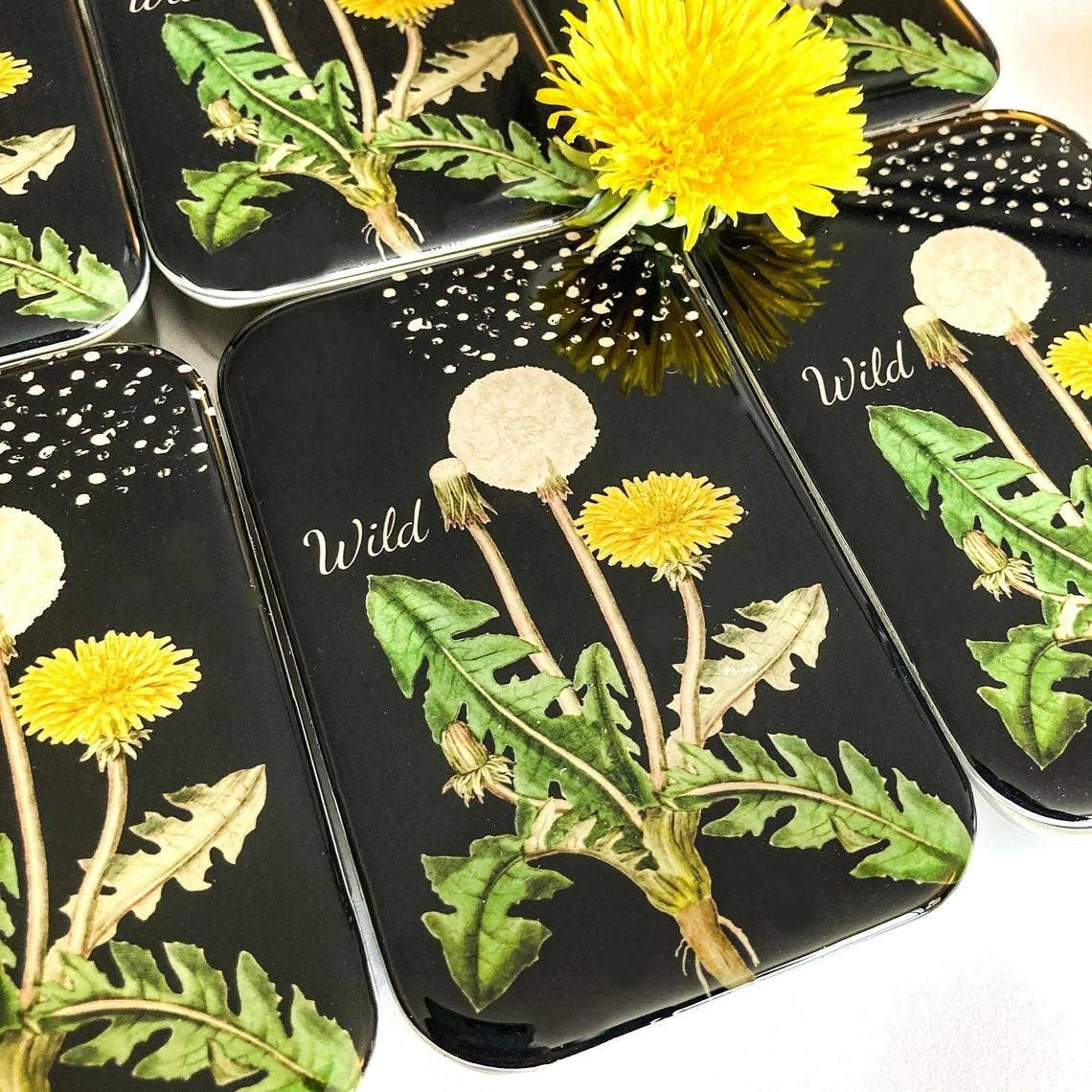 Large Dandelion Notions Tin