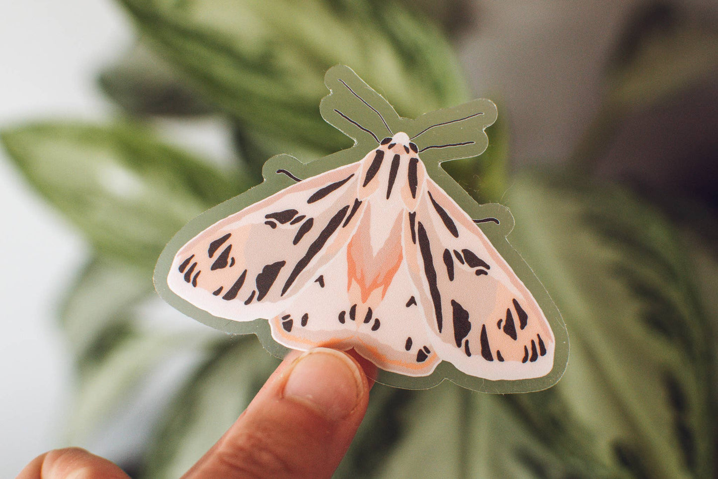 Pink Tiger Moth Sticker | Bug Lover Waterproof Vinyl Sticker