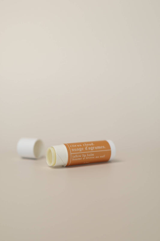 Citrus Cloud Tallow Lip Balm | Orange Vanilla