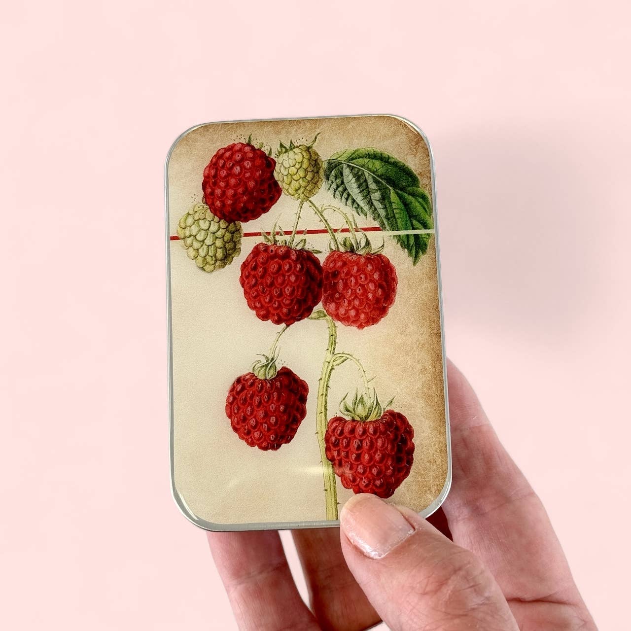 Large Raspberry Notions Tin
