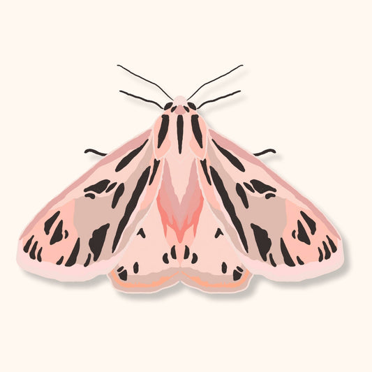 Pink Tiger Moth Sticker | Bug Lover Waterproof Vinyl Sticker