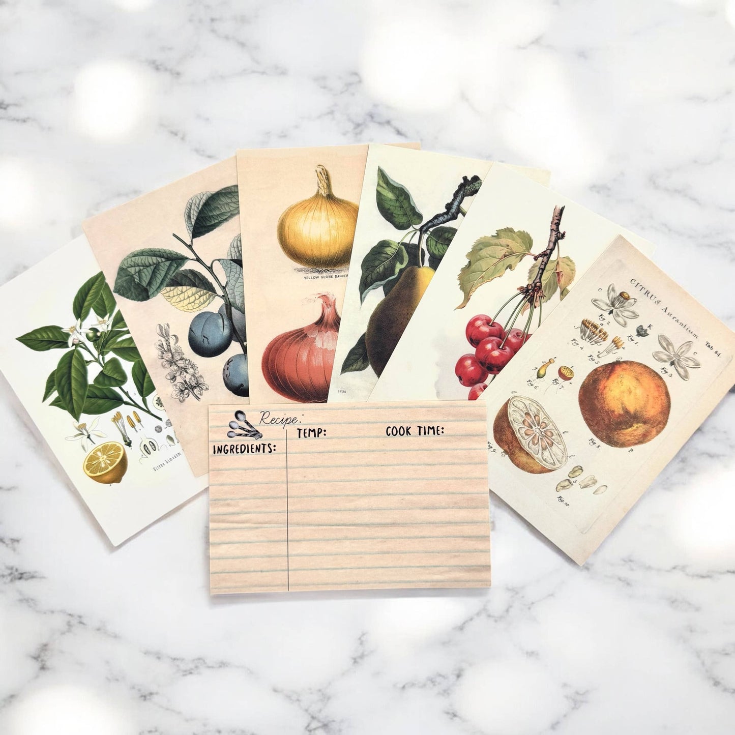 Botanical Recipe Card Set | 12 Cards + Banana Bread Recipe