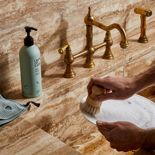 Guests on Earth | Citrus Oasis Dish Soap