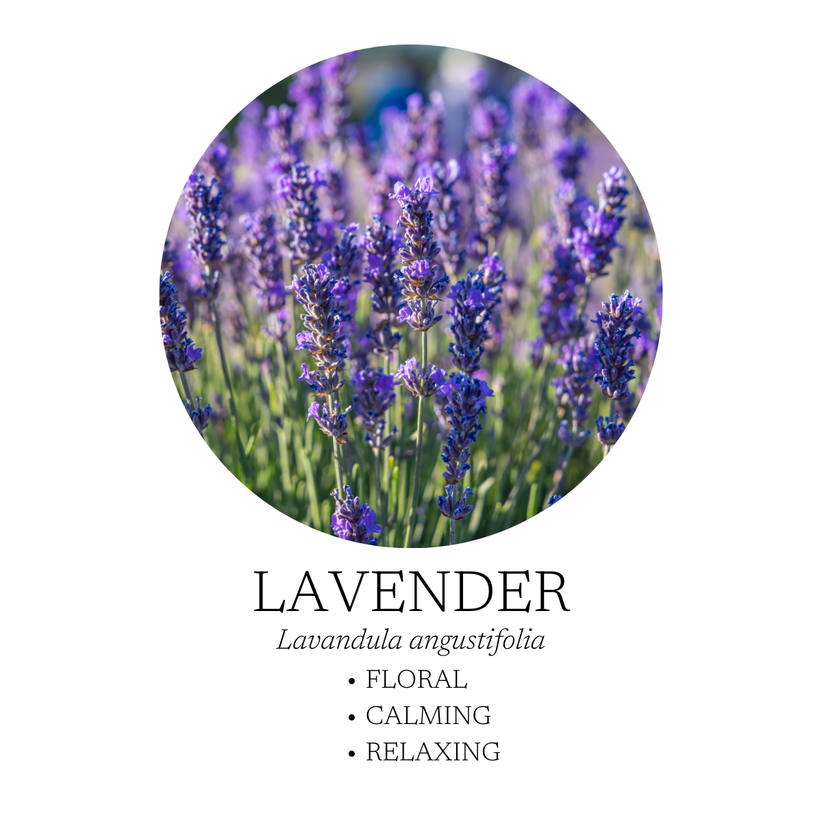 Spa Essential Oil Blend