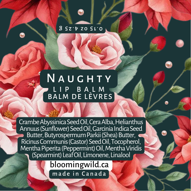 Naughty Lip Balm | case pack | Minty