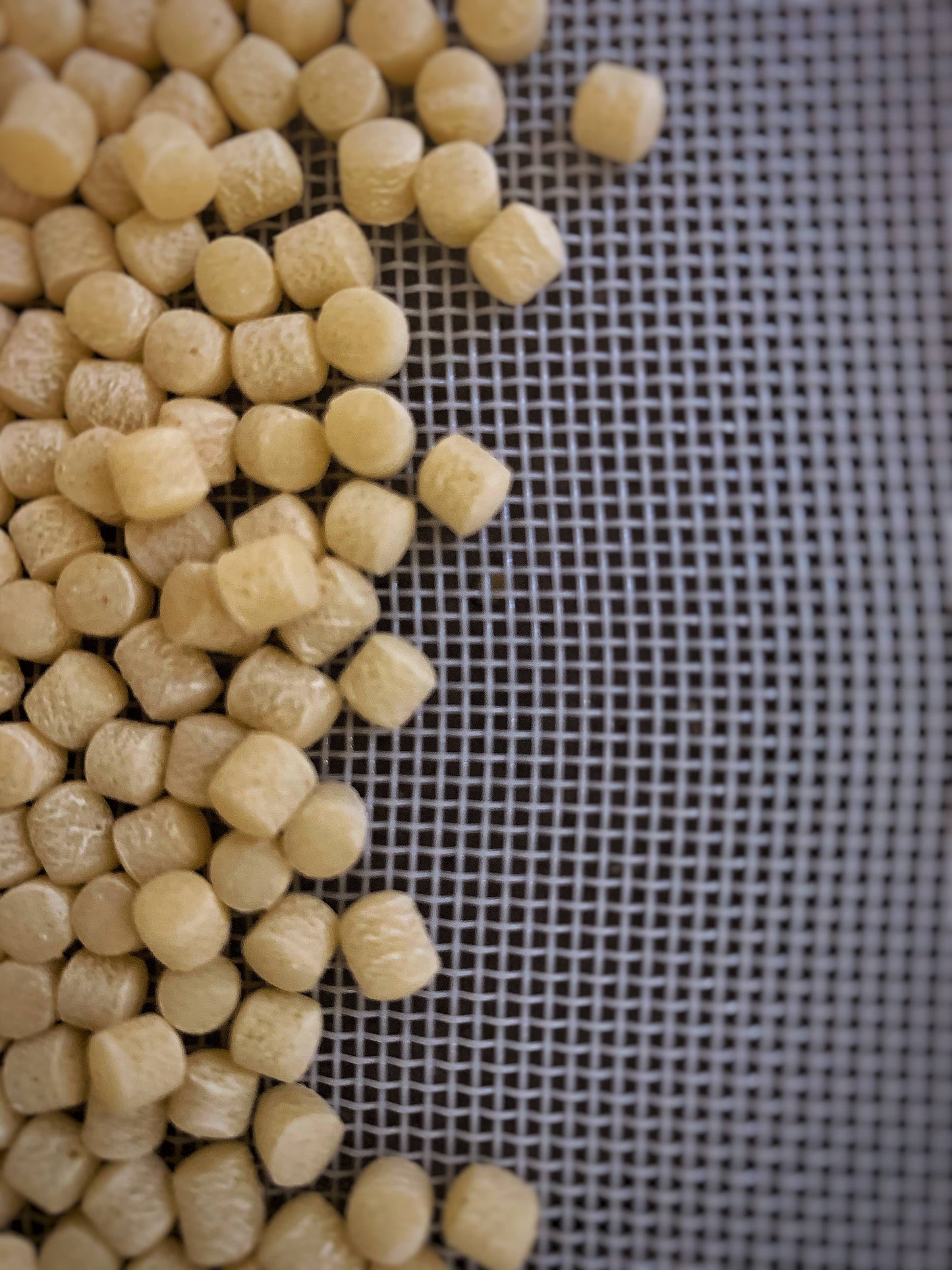 Fregola