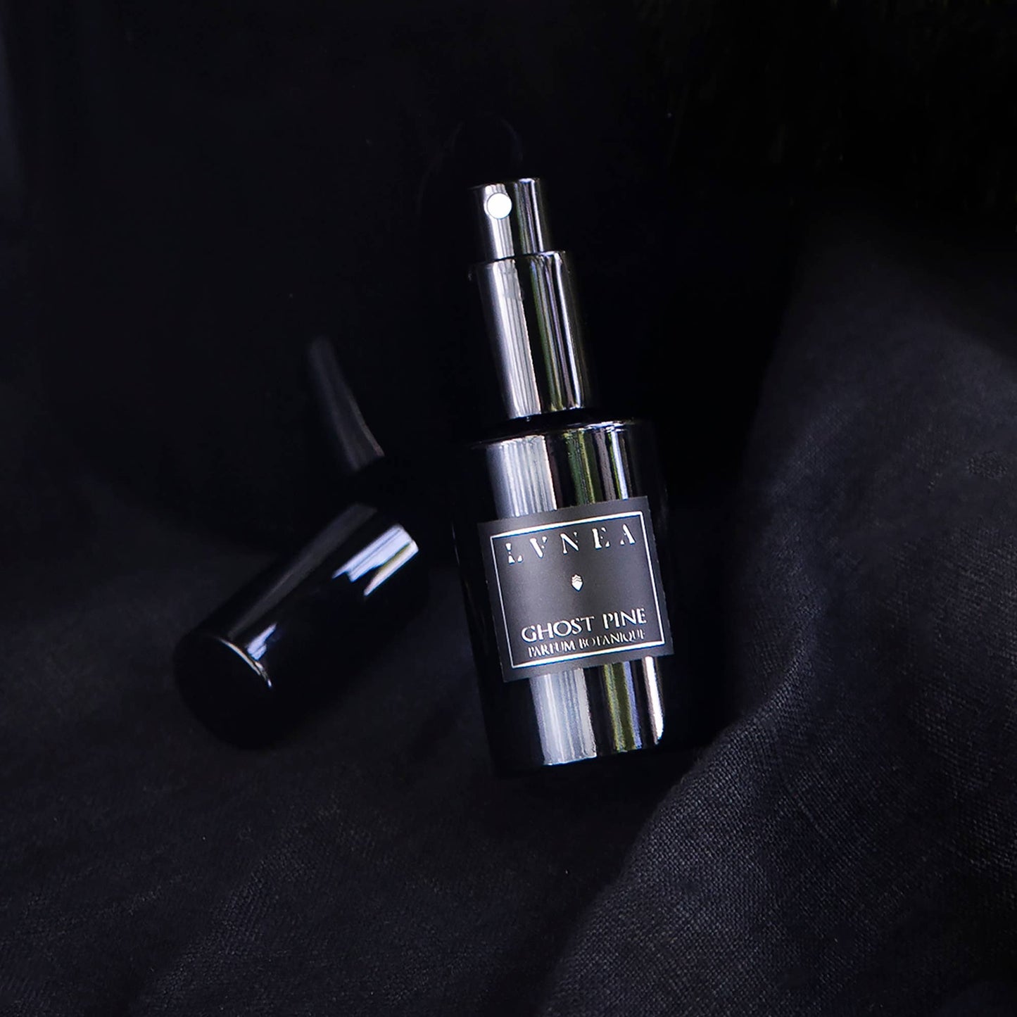 Lvnea GHOST PINE Eau de Parfum | Pine Needles, Ancient Woods, Moss