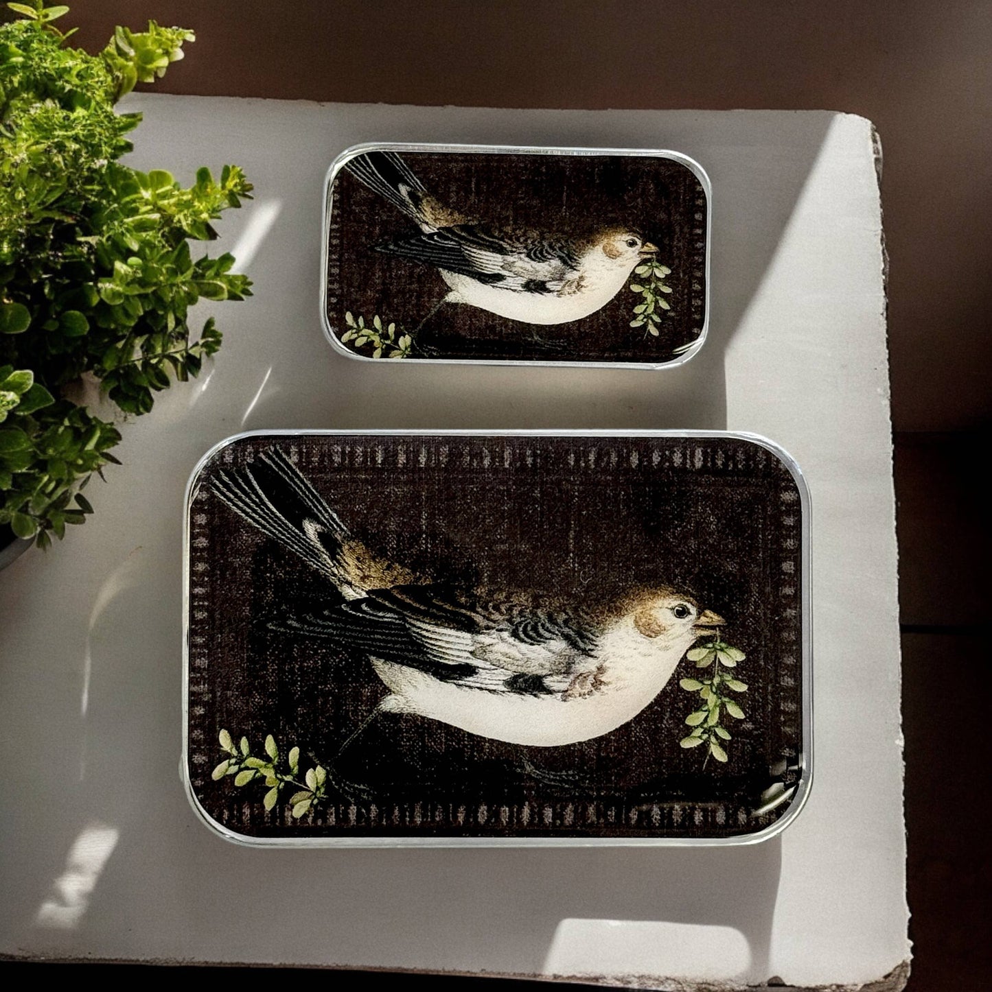 Large Birdsong Notions Tin