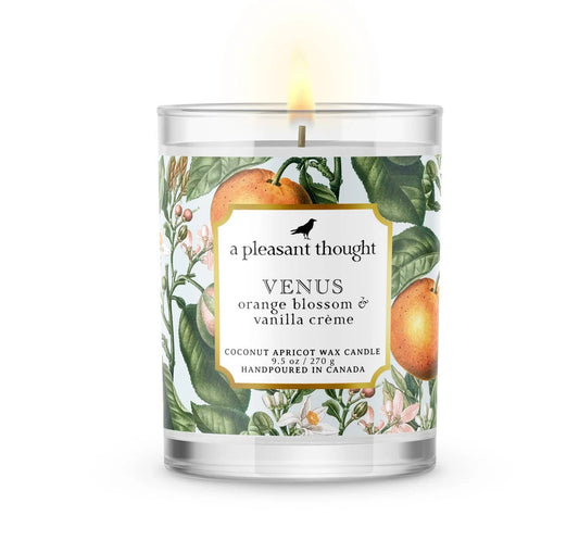 Venus | Orange Blossom & Vanilla Creme Candle