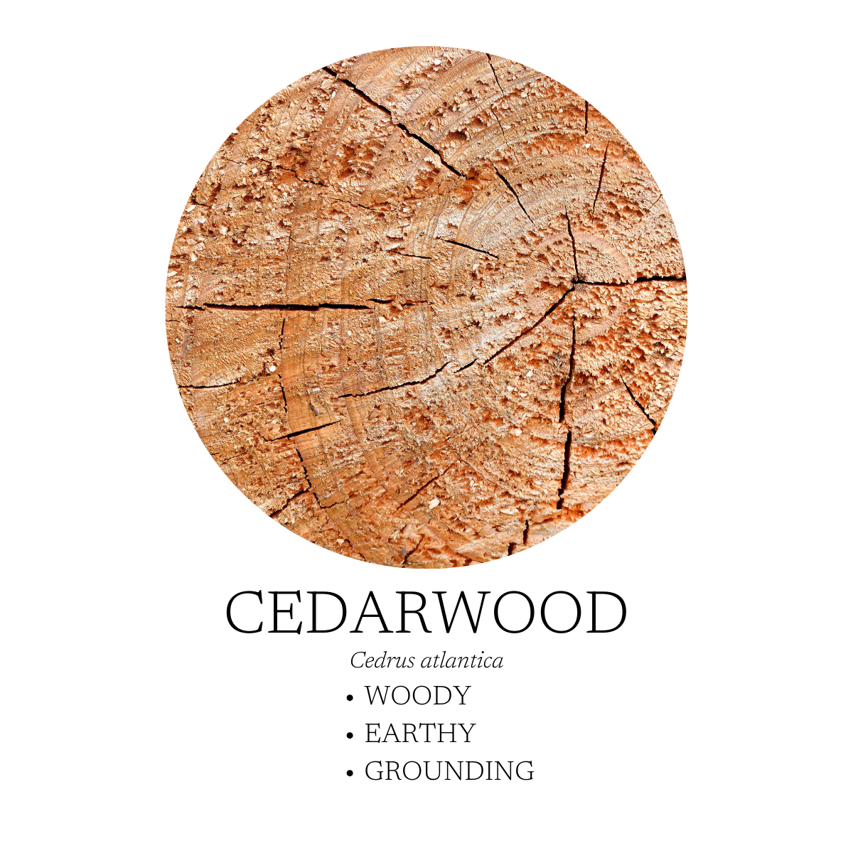 Walk In The Woods Essential Oil Blend