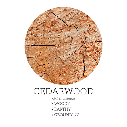 Walk In The Woods Essential Oil Blend
