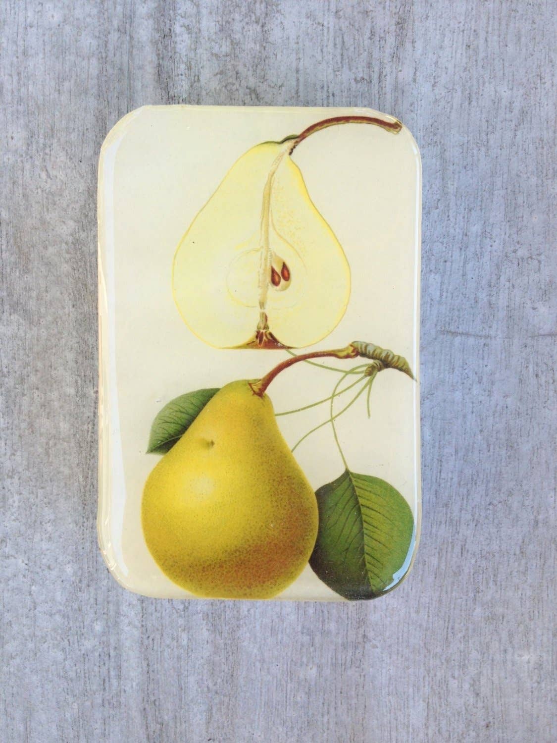Large Botanical Pear Notions Tin