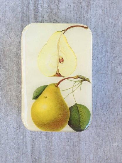 Large Botanical Pear Notions Tin