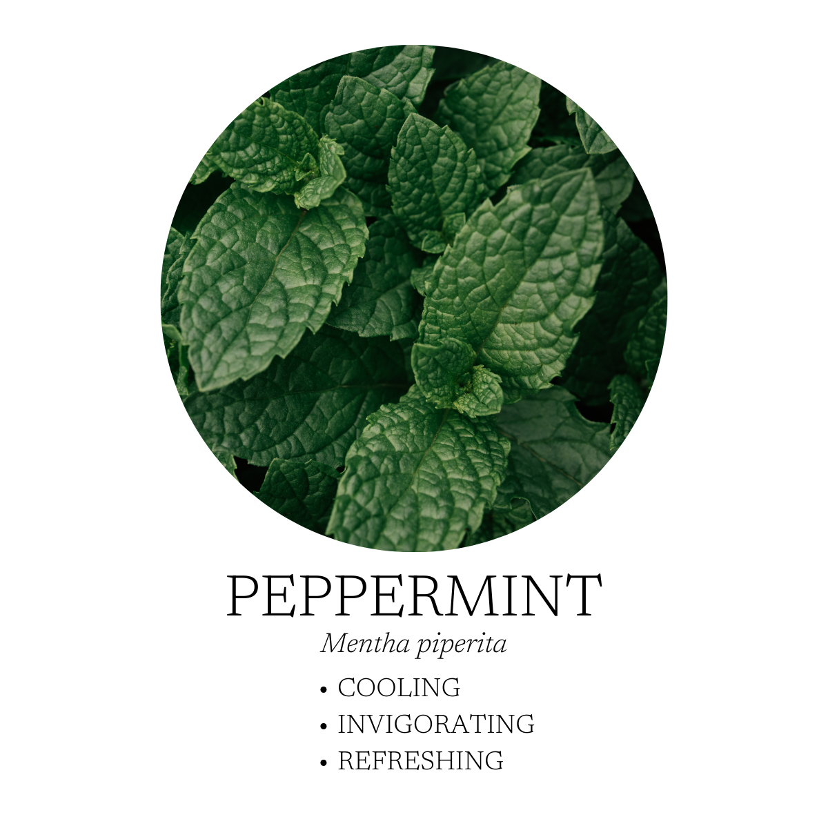 Good Morning Essential Oil Blend