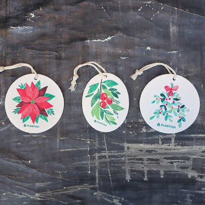 Mistletoe - Pop up Sponge