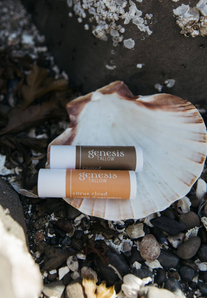 Citrus Cloud Tallow Lip Balm | Orange Vanilla