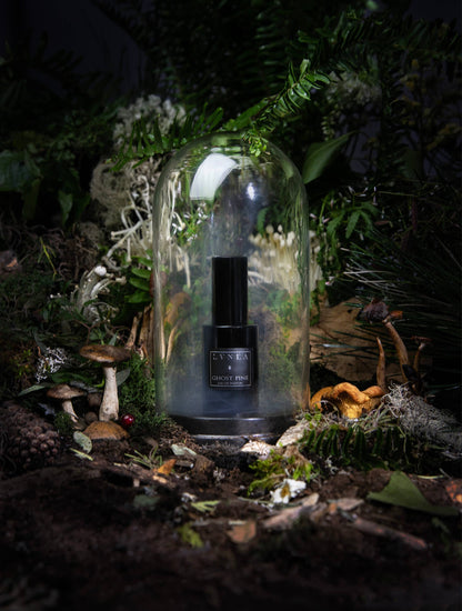 Lvnea GHOST PINE Eau de Parfum | Pine Needles, Ancient Woods, Moss