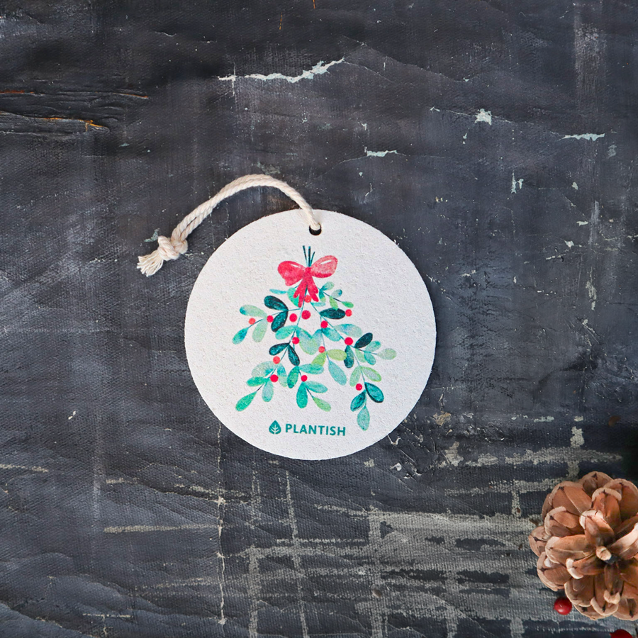Mistletoe - Pop up Sponge
