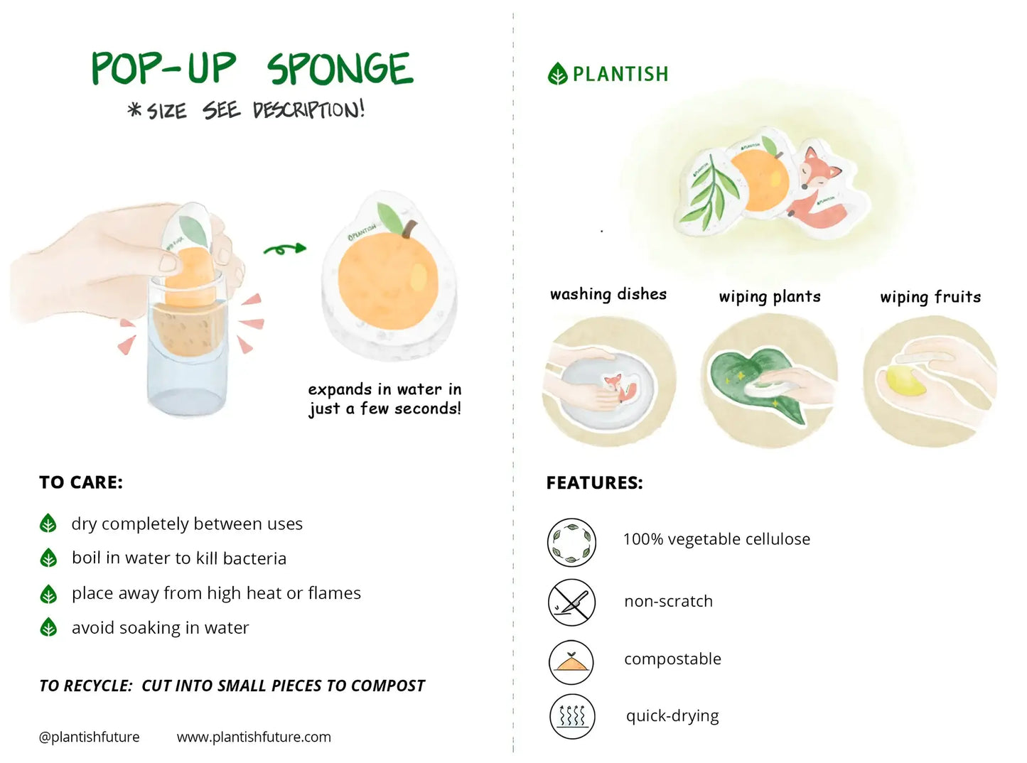 Mistletoe - Pop up Sponge