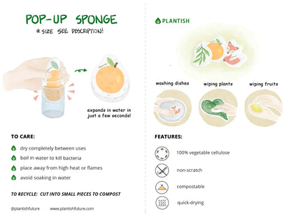 Mistletoe - Pop up Sponge