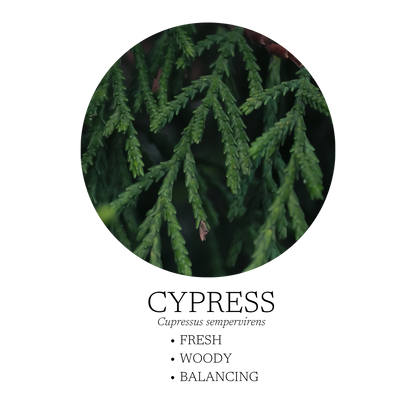 Walk In The Woods Essential Oil Blend