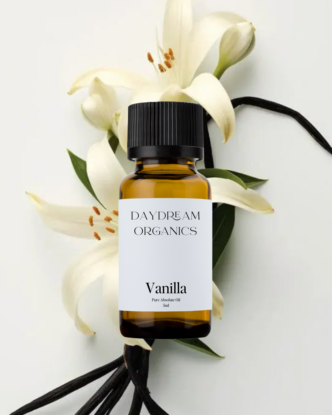 Vanilla Absolute Oil