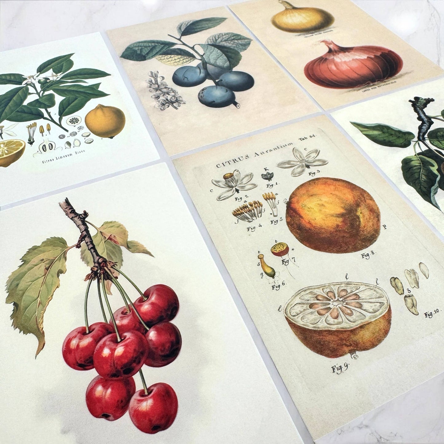 Botanical Recipe Card Set | 12 Cards + Banana Bread Recipe