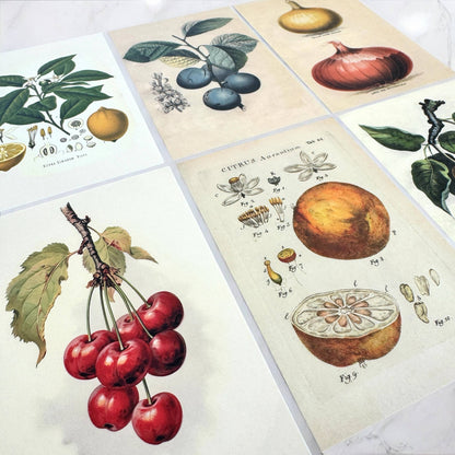 Botanical Recipe Card Set | 12 Cards + Banana Bread Recipe