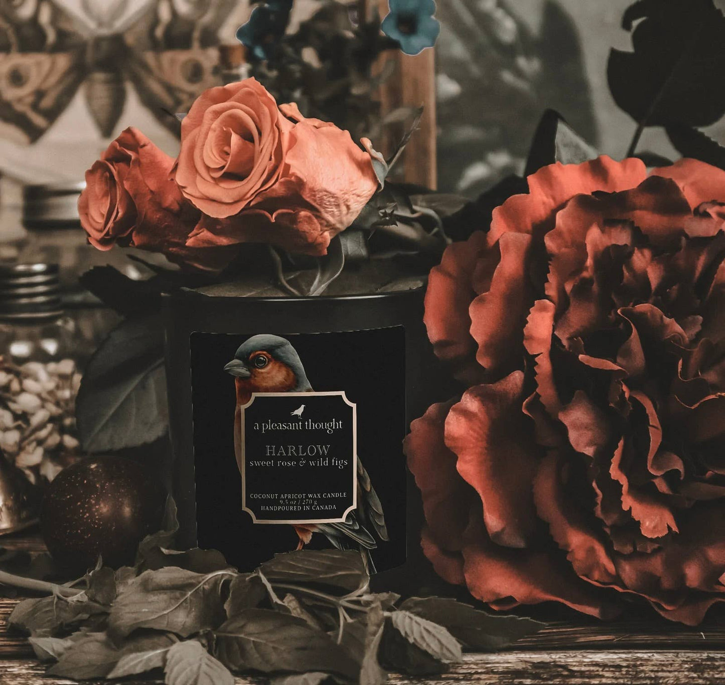 Harlow | Sweet Rose + Wild Figs