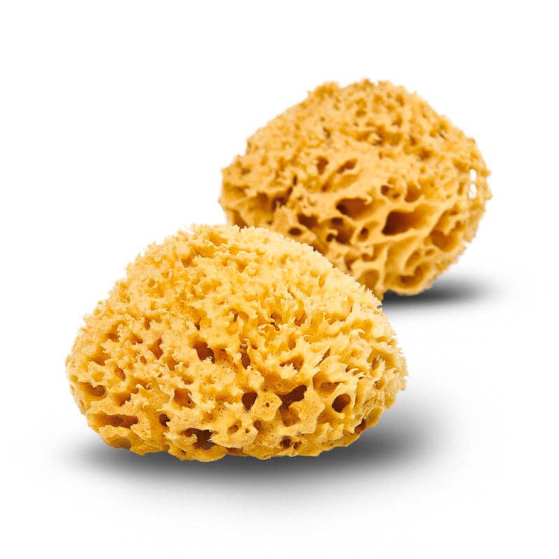 Natural Sea Sponge - Plastic Free Organic Sea Sponge: Honeycomb Large