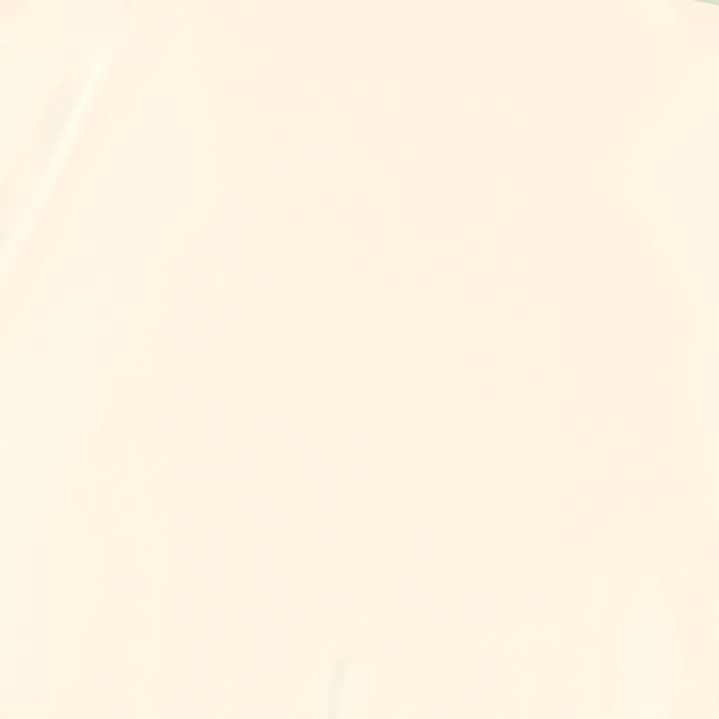 French Beige | Vegan & 21-free Nail Polish