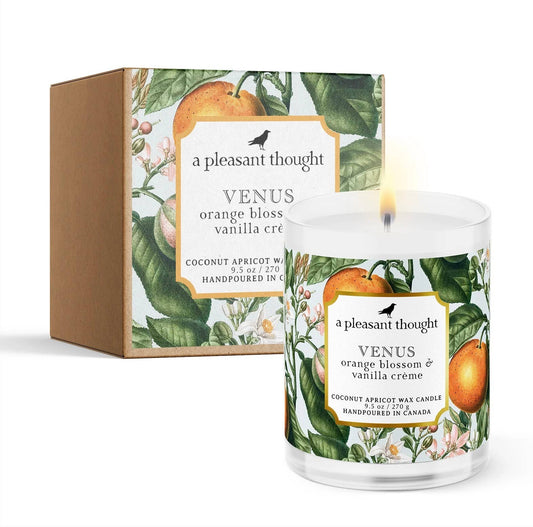 Venus | Orange Blossom & Vanilla Creme Candle