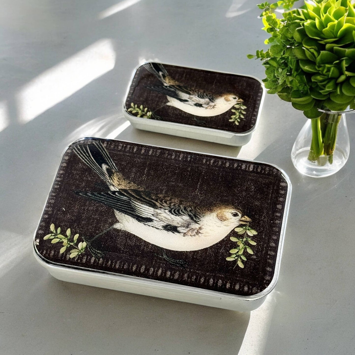 Large Birdsong Notions Tin