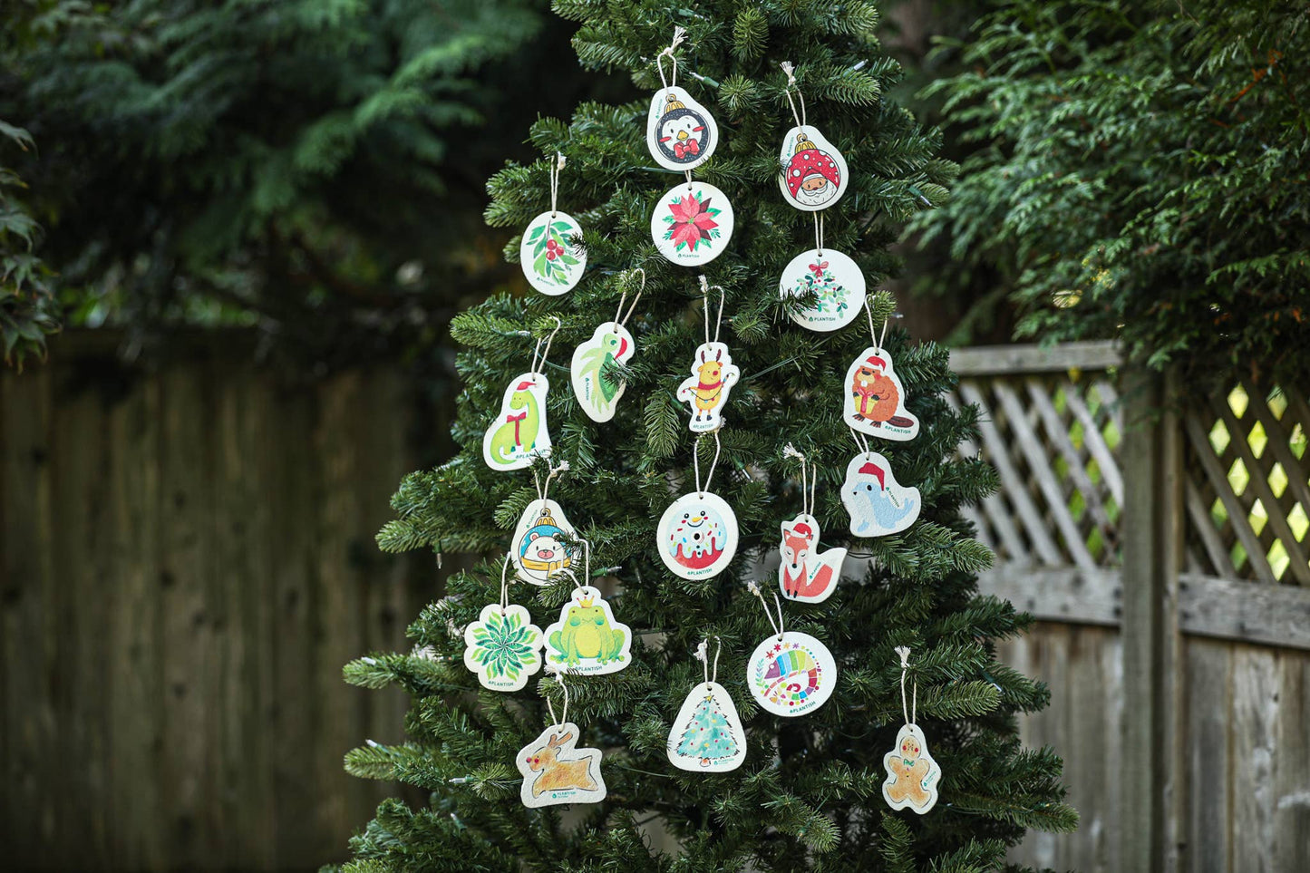 Mistletoe - Pop up Sponge