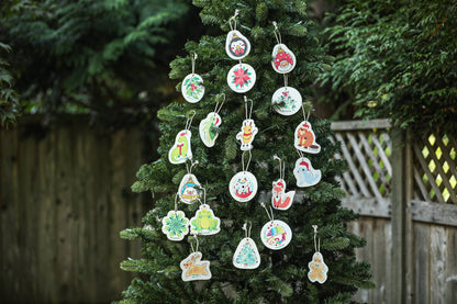 Mistletoe - Pop up Sponge