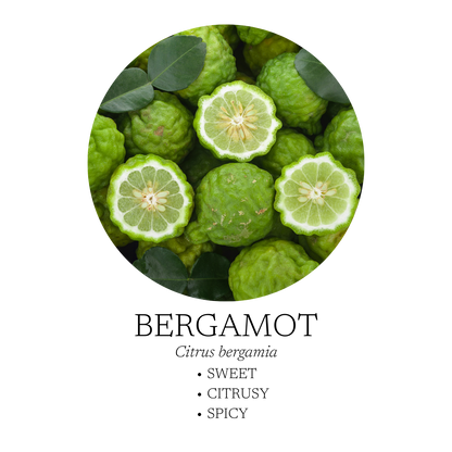 Spa Essential Oil Blend
