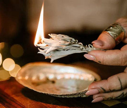 Smudge Ritual Starter Kit | Small (3-4" Abalone Shell + White Sage)