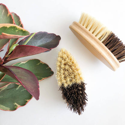Bamboo Vegetable Brush - Sisal & Palm Bristles: Oval Brush