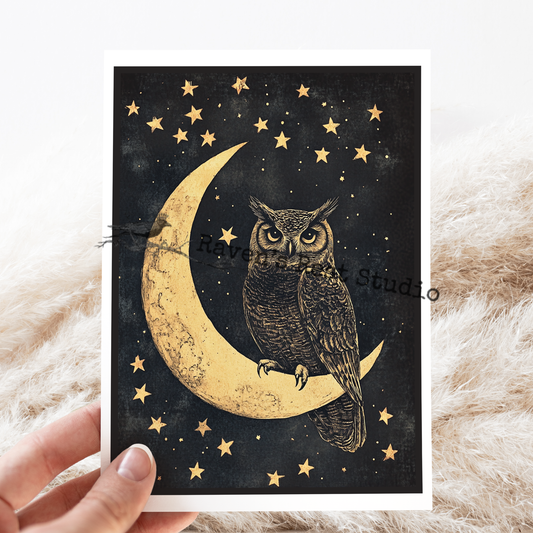 Magical Owl Perched On The Moon Night Sky Card